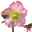 Helleborus 'Cheryl's Shine' rosa, Topf-Ø 15 cm