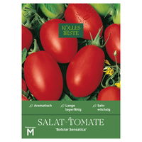Kölle Bio Gemüsesamen, Salattomate 'Bolstar Sensatica'