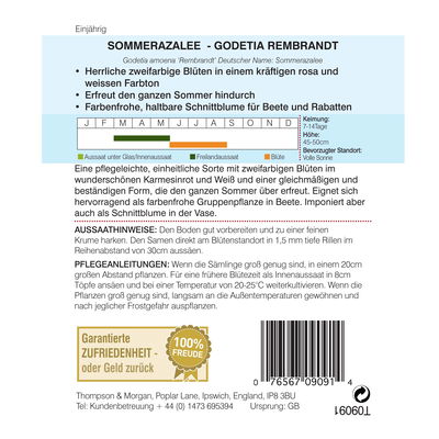 Sommerazaleensamen 'Godetia Rembrandt' Sommerazaleensamen 'Godetia Rembrandt'