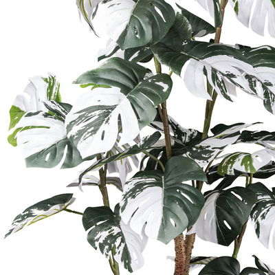 Künstliches Fensterblatt 'Monstera deliciosa Variegata', Höhe ca. 110cm Künstliches Fensterblatt 'Monstera deliciosa Variegata', Höhe ca. 110cm