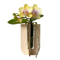 Phalaenopsis Voyage im Geschenkkarton, Höhe ca. 30 cm