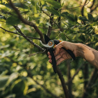 Bypass-Schere 'Solid', schwarz/orange Bypass-Schere 'Solid', schwarz/orange