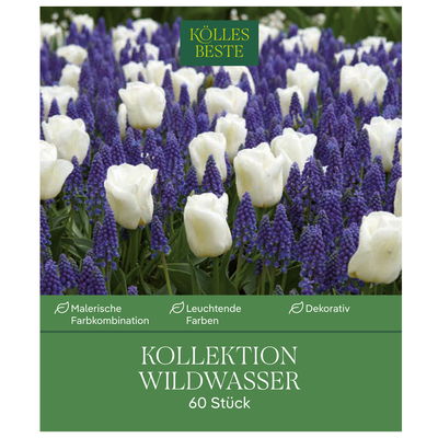 Wildwasser Kollektion 40 Blumenzwiebeln Wildwasser Kollektion 40 Blumenzwiebeln