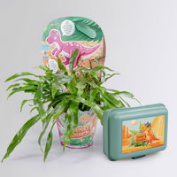 Dino Snack®, Mira, Känguru-Farn, Topf-Ø 14 cm, mit Brotdose