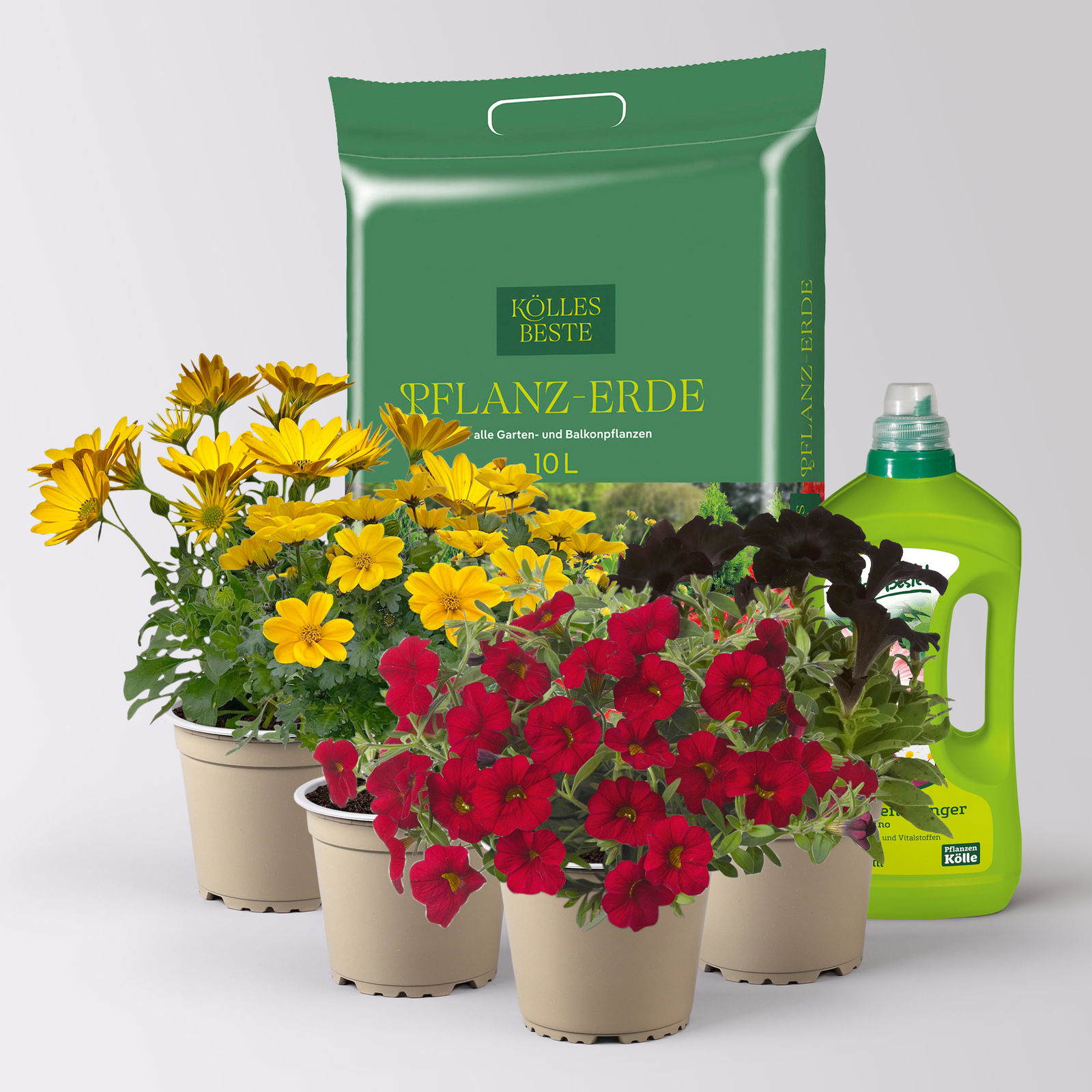 Pflanzenkreation 'WM-Edition', 4 Pflanzen inkl. Erde und Dünger