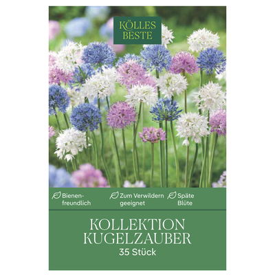 Allium-Mischung Kollektion 'Kugelzauber', blau, weiß, rosa, 35 Blumenzwiebeln Allium-Mischung Kollektion 'Kugelzauber', blau, weiß, rosa, 35 Blumenzwiebeln