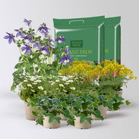 Pflanzenkreation Frühlingsmagie, 9 Pflanzen inkl. Erde Pflanzenkreation Frühlingsmagie, 9 Pflanzen inkl. Erde