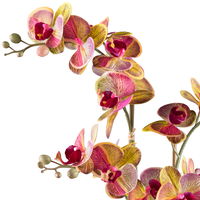 Kunstpflanze Phalaenopsis, gelb/pink/grau, Höhe ca. 56 cm