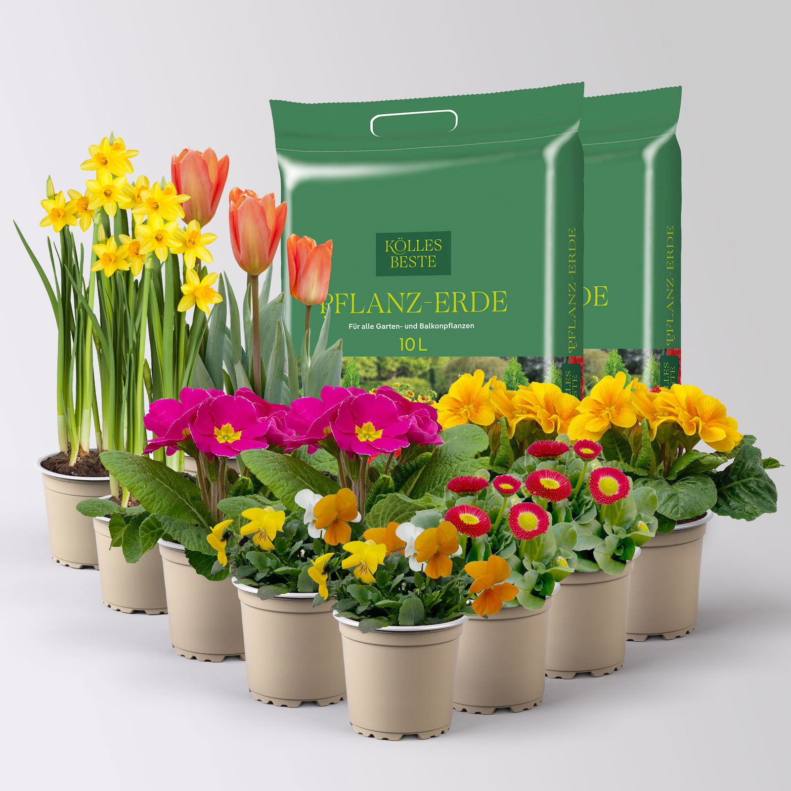 Pflanzen-Set Frischer Frühling, 12 Pflanzen inkl. Erde