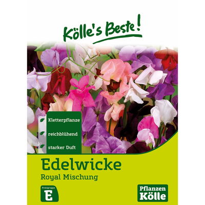 Kölles Beste Blumensamen Edelwicken Royal Mischung Kölles Beste Blumensamen Edelwicken Royal Mischung