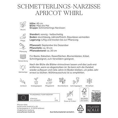 Schmetterling Narzissen Apricot Whirl, 3 Blumenzwiebeln Schmetterling Narzissen Apricot Whirl, 3 Blumenzwiebeln