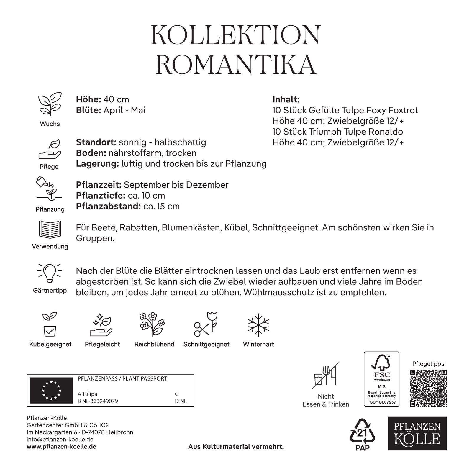 Tulpenmischung Kollektion 'Romantika', 20 Blumenzwiebeln