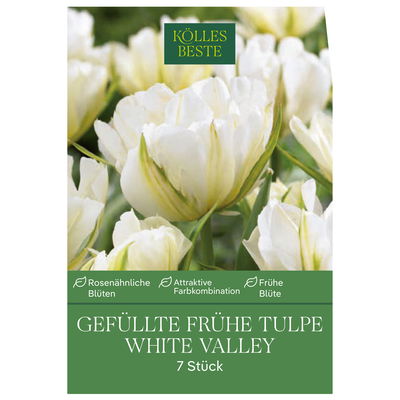 Tulpen 'White Valley', gefüllt, Weiß, 7 Blumenzwiebeln, Größe 11/12