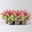 Calluna 'Beauty Ladies® Longlife Ametie' Trio, bunt, Topf-Ø 13 cm, 6 Pflanzen Calluna 'Beauty Ladies® Longlife Ametie' Trio, bunt, Topf-Ø 13 cm, 6 Pflanzen