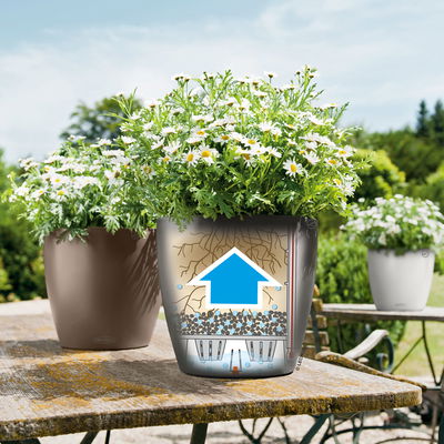 Lechuza 'Classico Color 18', schiefergrau, ca. Ø 19 x H 17 cm