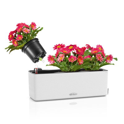 Lechuza 'Cube Color Triple', weiß, ca. 40 x 14 x H 14 cm