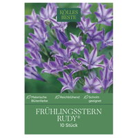 Frühlingsstern (Triteleia Rudy), 10 Blumenzwiebeln