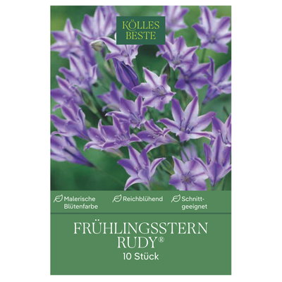 Frühlingsstern (Triteleia Rudy), 10 Blumenzwiebeln