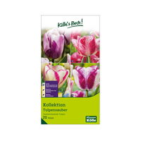 Tulpen-Kollektion 'Tulpenzauber mit Farbwechsel', 20 Blumenzwiebeln