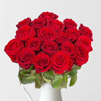 25 rote Rosen 'Red Naomi' 25 rote Rosen 'Red Naomi'