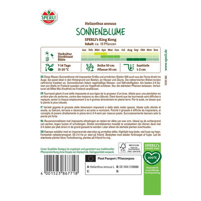 Saatgut Sonnenblume 'Sperli’s King Kong' Saatgut Sonnenblume 'Sperli’s King Kong'
