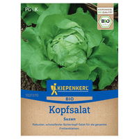 Kiepenkerl Bio-Saatgut Kopfsalat 'Suzan'