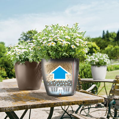 Lechuza 'Classico Color 43', muskat, ca. Ø 42 x H 39,5 cm Lechuza 'Classico Color 43', muskat, ca. Ø 42 x H 39,5 cm