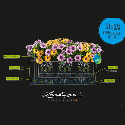 Lechuza 'Balconera Color 50', muskat, ca. 50 x 19 x H 19 cm Lechuza 'Balconera Color 50', muskat, ca. 50 x 19 x H 19 cm