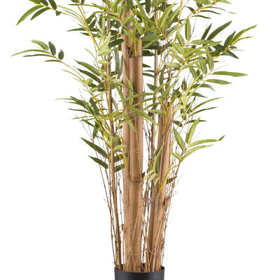 Künstlicher Bambusa vulgaris, Höhe ca. 150 cm Künstlicher Bambusa vulgaris, Höhe ca. 150 cm
