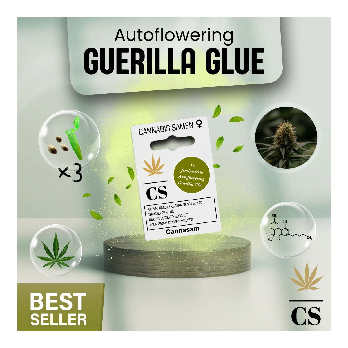 Cannabis Saatgut Hanf 'Autoflowering Guerilla Glue'