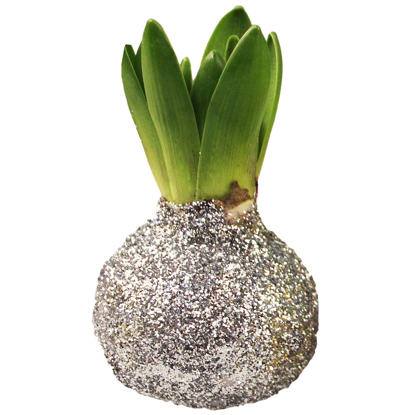 Hyazinthe in Wachs Glitter Metallic silber, 4er-Set