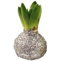 Hyazinthe in Wachs Glitter Metallic silber, 4er-Set