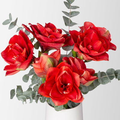 Schnittblumen-Mix aus 3 rot gefüllten Amaryllis & 3 Eukalyptus Schnittblumen-Mix aus 3 rot gefüllten Amaryllis & 3 Eukalyptus