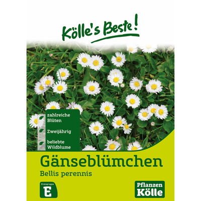 Kölles Beste Blumensamen Gänseblümchen (Bellis) Kölles Beste Blumensamen Gänseblümchen (Bellis)