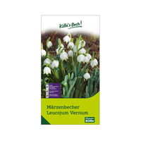 Leucojum Vernum (Märzbecher) 5 Blumenzwiebeln