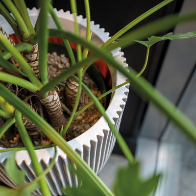 Capi Europe Pflanzgefäß 'Groove', elfenbein, ca. Ø 54 x H 52 cm Capi Europe Pflanzgefäß 'Groove', elfenbein, ca. Ø 54 x H 52 cm