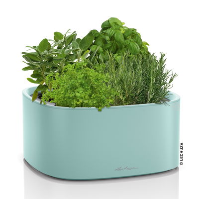 Lechuza 'Pila Color', pastellgrün, ca. 35 x 35 x H 16,5 cm