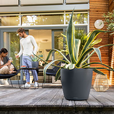 Lechuza 'Classico Color 35', schiefergrau, ca. Ø 34,5 x H 32,5 cm Lechuza 'Classico Color 35', schiefergrau, ca. Ø 34,5 x H 32,5 cm