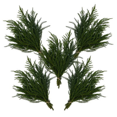 Bio Sicheltannen-Zweige im Handbund, 5 Bund Bio Sicheltannen-Zweige im Handbund, 5 Bund