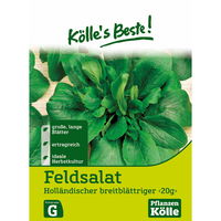Kölle's Beste Gemüsesamen Feldsalat 
