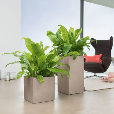 Lechuza 'Canto Stone 40 high', sandbeige, ca. 40 x 40 x H 76 cm Lechuza 'Canto Stone 40 high', sandbeige, ca. 40 x 40 x H 76 cm