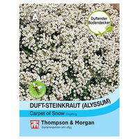 Thompson & Morgan Blumensamen Steinkraut (Alyssum) 