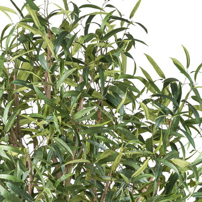 Kunstpflanze Ficus longifolia, Höhe ca. 260 cm