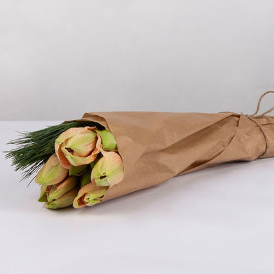 Amaryllis 'Rilona' lachs und Seidenkiefer, inkl. gratis Grußkarte