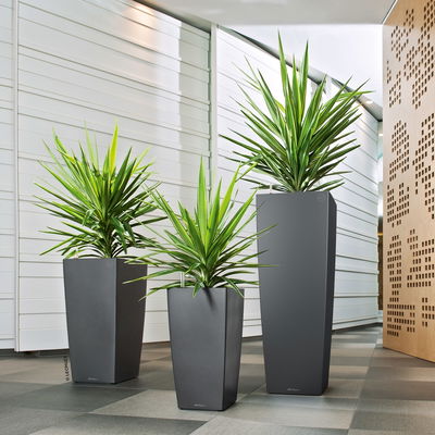 Lechuza 'Cubico Alto 40', anthrazit, ca. 39,5 x 39,5 x H 105 cm