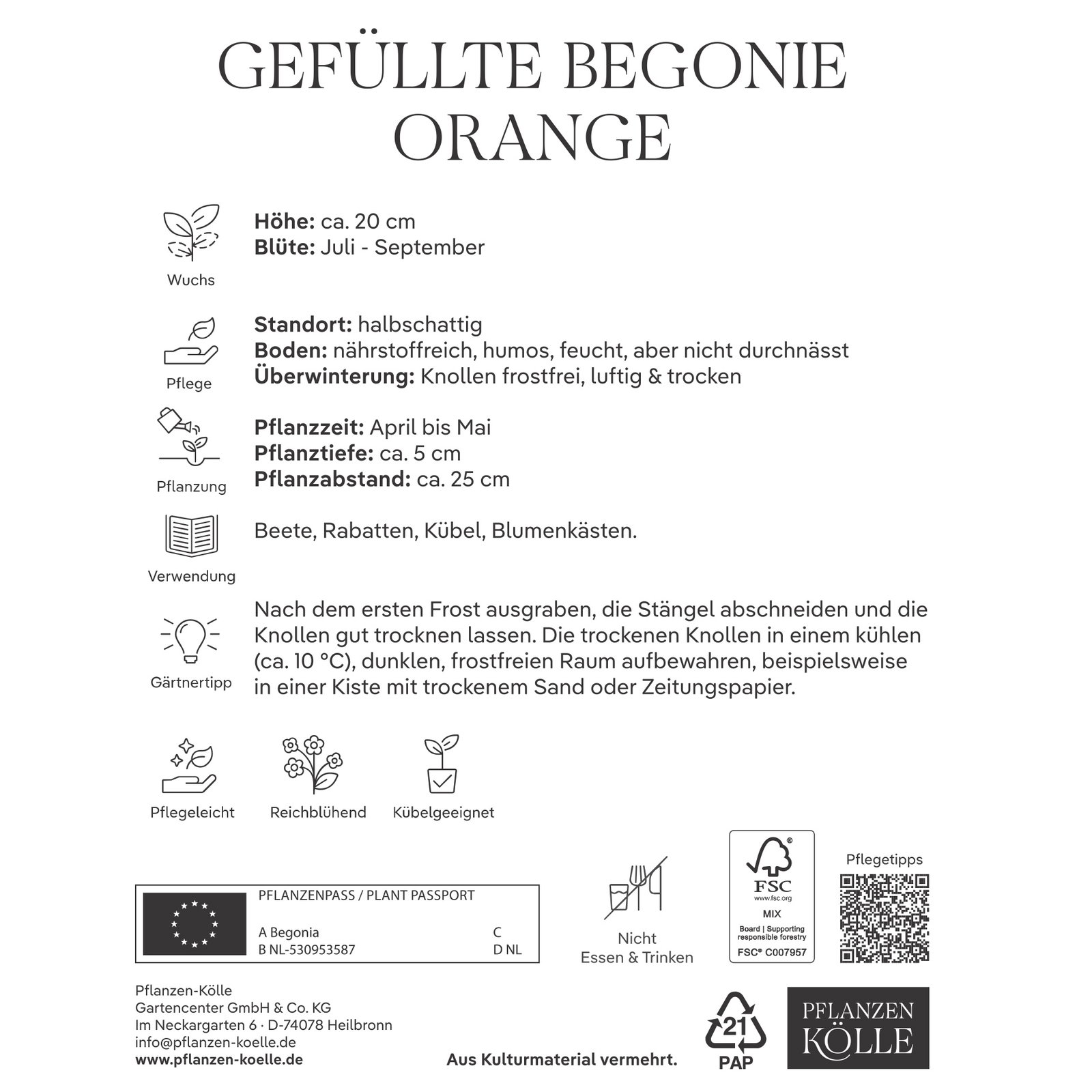 Kölles Beste Blumenknollen, Gefüllte Begonie 'Orange'