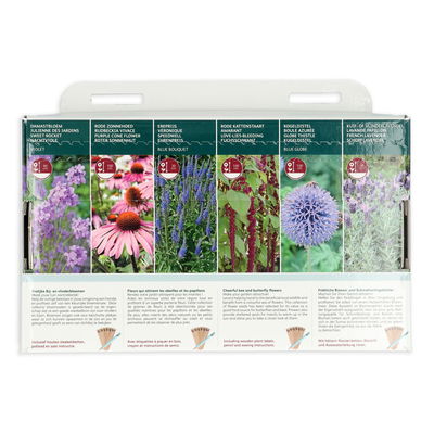 Saatgut 'Fröhliche Bienen- und Schmetterlingsblüten' Saatgut 'Fröhliche Bienen- und Schmetterlingsblüten'