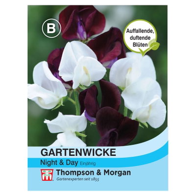 Thompson & Morgan Blumensamen Gartenwicke Thompson & Morgan Blumensamen Gartenwicke