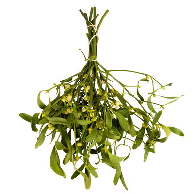 Misteln Handbund, natur, 3 Bund