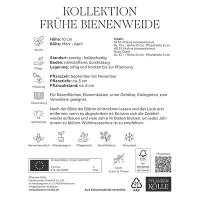 Elfenkrokus-Mischung Kollektion 'Frühe Bienenweide', 50 Blumenzwiebeln Elfenkrokus-Mischung Kollektion 'Frühe Bienenweide', 50 Blumenzwiebeln